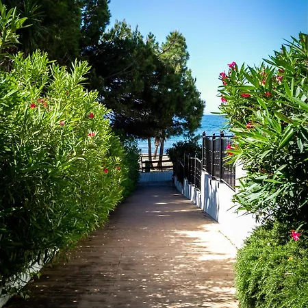Banus - Lily Playas Del Duque Banus Marbella